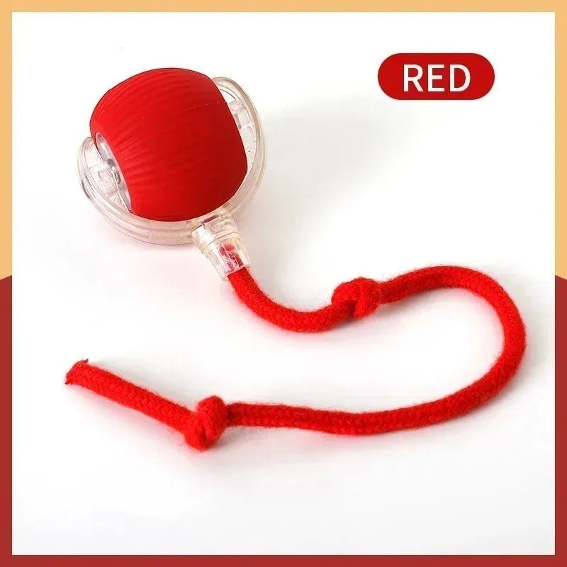 Smart Moving Pet Ball – USB Interactive Toy for Dogs & Cats
