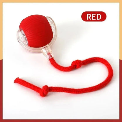 Smart Moving Pet Ball – USB Interactive Toy for Dogs & Cats