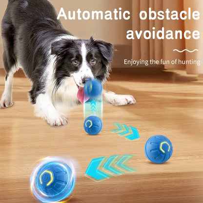Smart Moving Pet Ball – USB Interactive Toy for Dogs & Cats