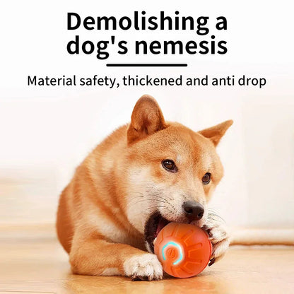 Smart Moving Pet Ball – USB Interactive Toy for Dogs & Cats