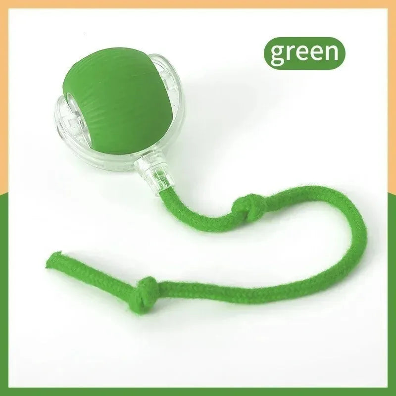 Smart Moving Pet Ball – USB Interactive Toy for Dogs & Cats